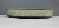 Image 2 of Oval bonsai pot with a pale blue matte glaze. 368x265mm