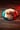CFP Hats