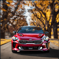2018+  KIA Stinger (GT)