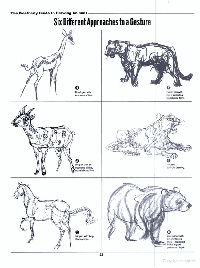 The Weatherly Guide to Drawing Animals