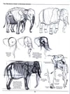 The Weatherly Guide to Drawing Animals