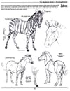 The Weatherly Guide to Drawing Animals