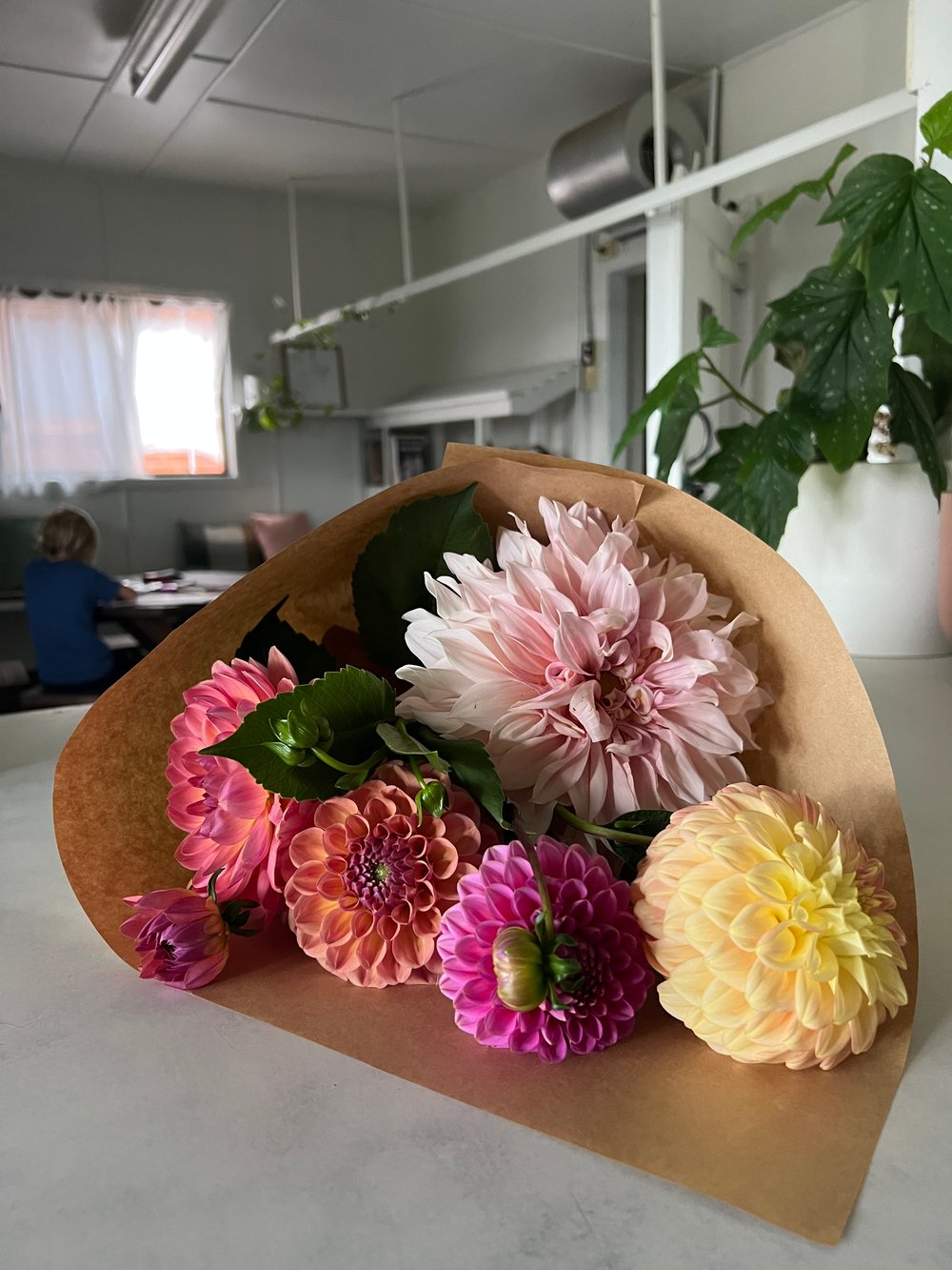 Image of MIXED SEASONAL BOUQUET 