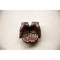 Image 3 of  Rose of Jericho Resurrection Plant Kit 