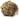  Rose of Jericho Resurrection Plant Kit 