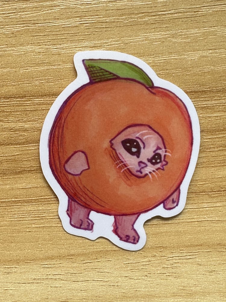 Image of Orange Fruit Cat sticker