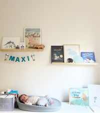 Image 2 of Hot Air Balloon Name Garland