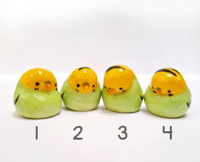 Image 3 of Ultimate Chonk Light Green Budgie Birbs