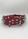 Chrome on Red Spike Collar