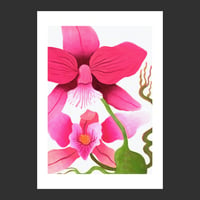 Orchidées roses (oeuvre unique)