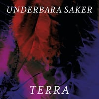 TERRA - Underbara Saker (LP)