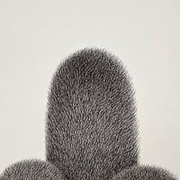 Image 2 of Cat Paw No.3 – Be yourself Original Artwork