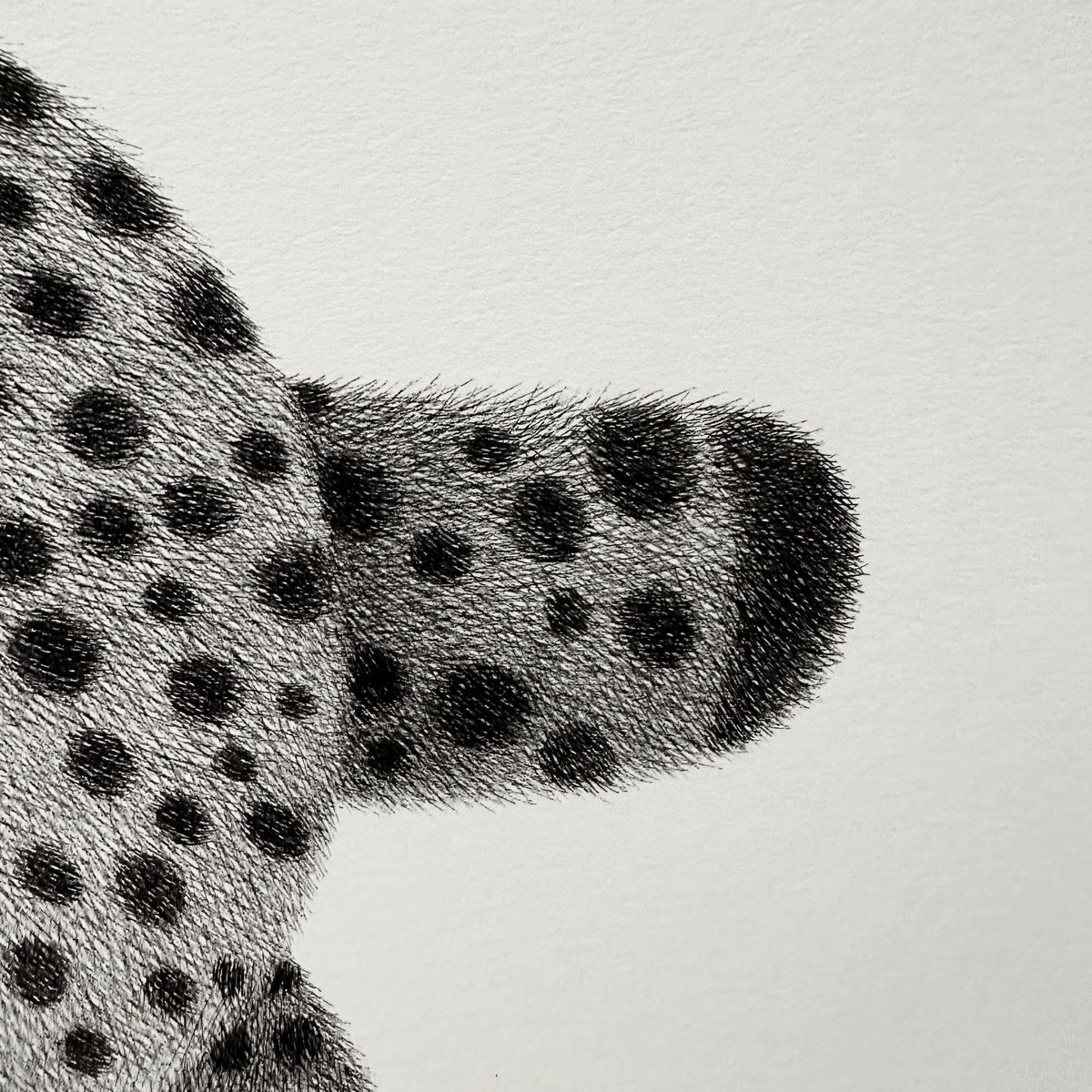 Image of Chubby Cheetah Original Artwork