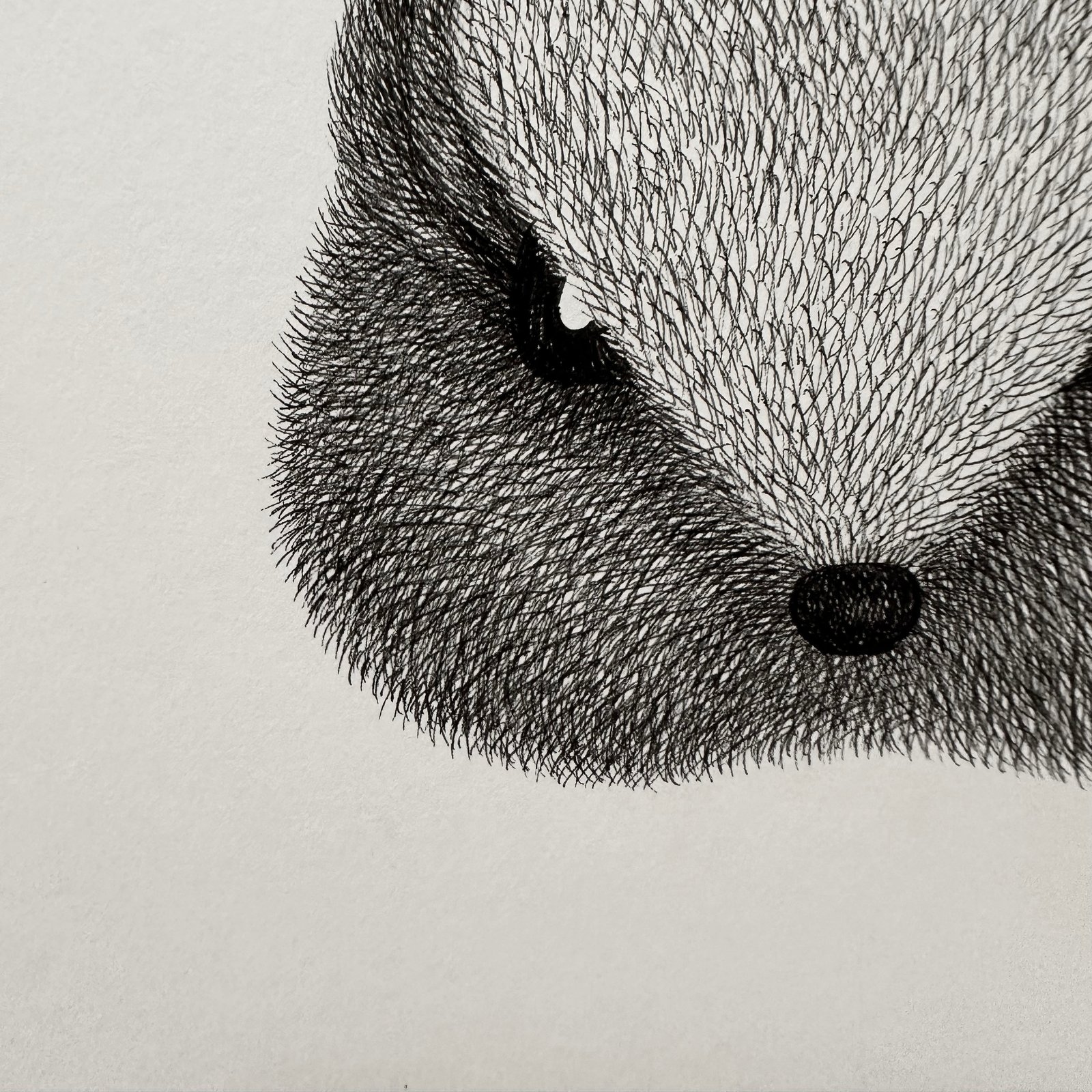 Rabbit Original Artwork | kamweifong