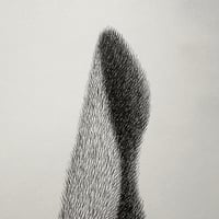 Image 3 of Rabbit Original Artwork