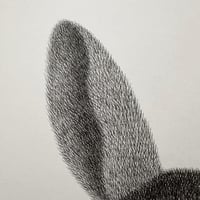 Image 3 of Fox Original Artwork