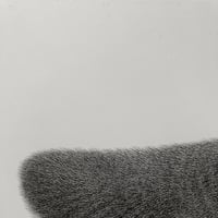 Image 4 of Kitty No.19 Original Artwork