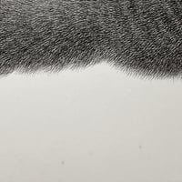 Image 5 of Kitty No.19 Original Artwork