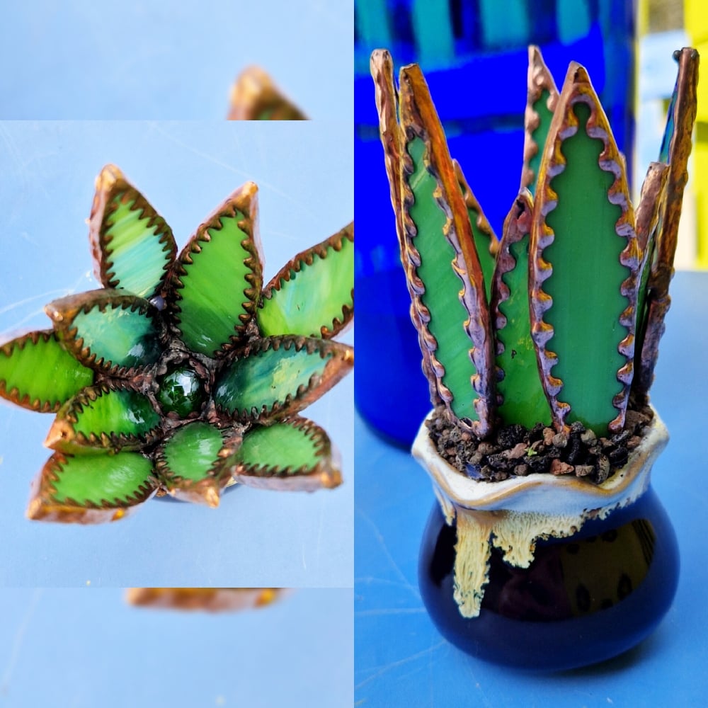 Image of Stained Glass Spiky Succulent 