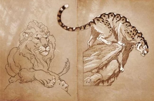 Daren Bader - One Hundred Drawings