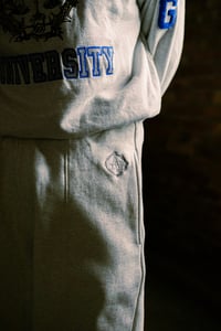 Image 16 of Work Hard College Crewneck - ice grey
