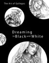 The Art of Gallegos: Dreaming in Black and White