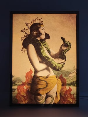 Image of Encantadora de serpientes