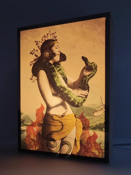 Image of Encantadora de serpientes 