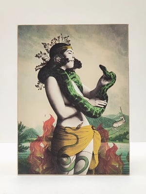 Image of Encantadora de serpientes