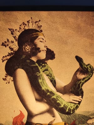 Image of Encantadora de serpientes