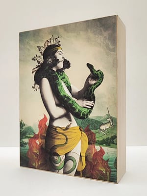 Image of Encantadora de serpientes