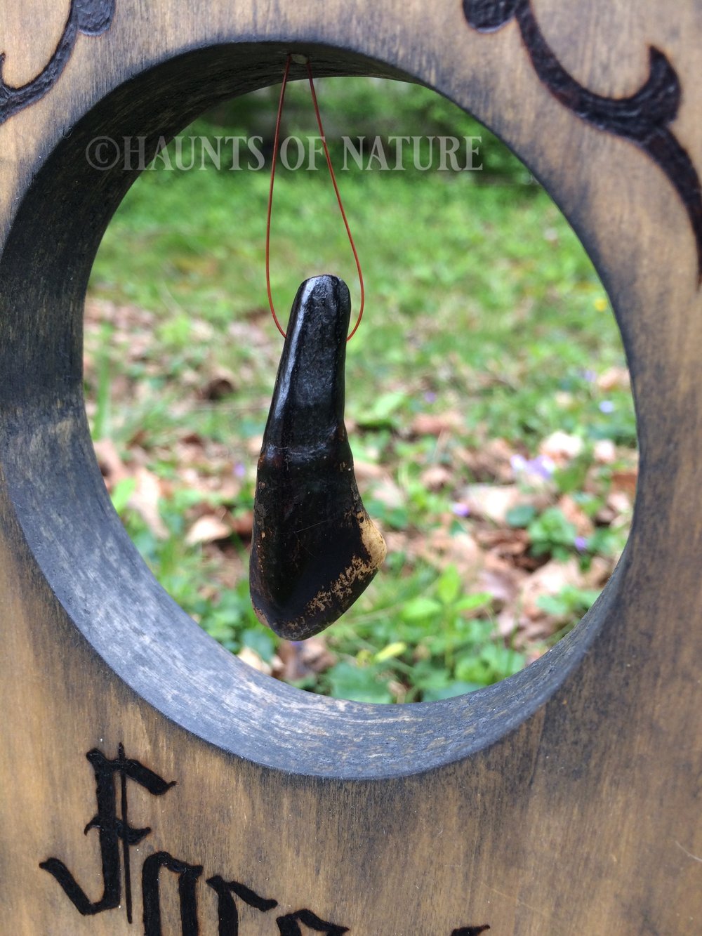 Wood Burned Tombstone with Buffalo Tooth