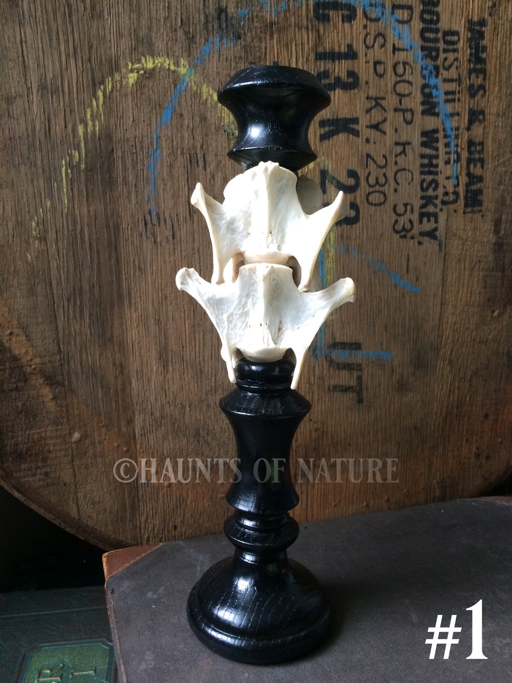 Vertebrae Candlestick Holders