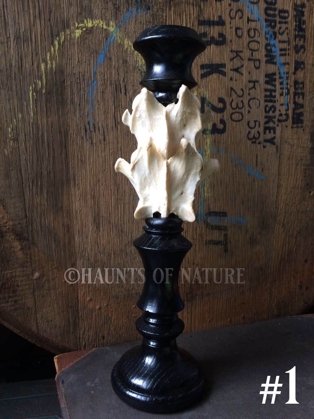 Vertebrae Candlestick Holders