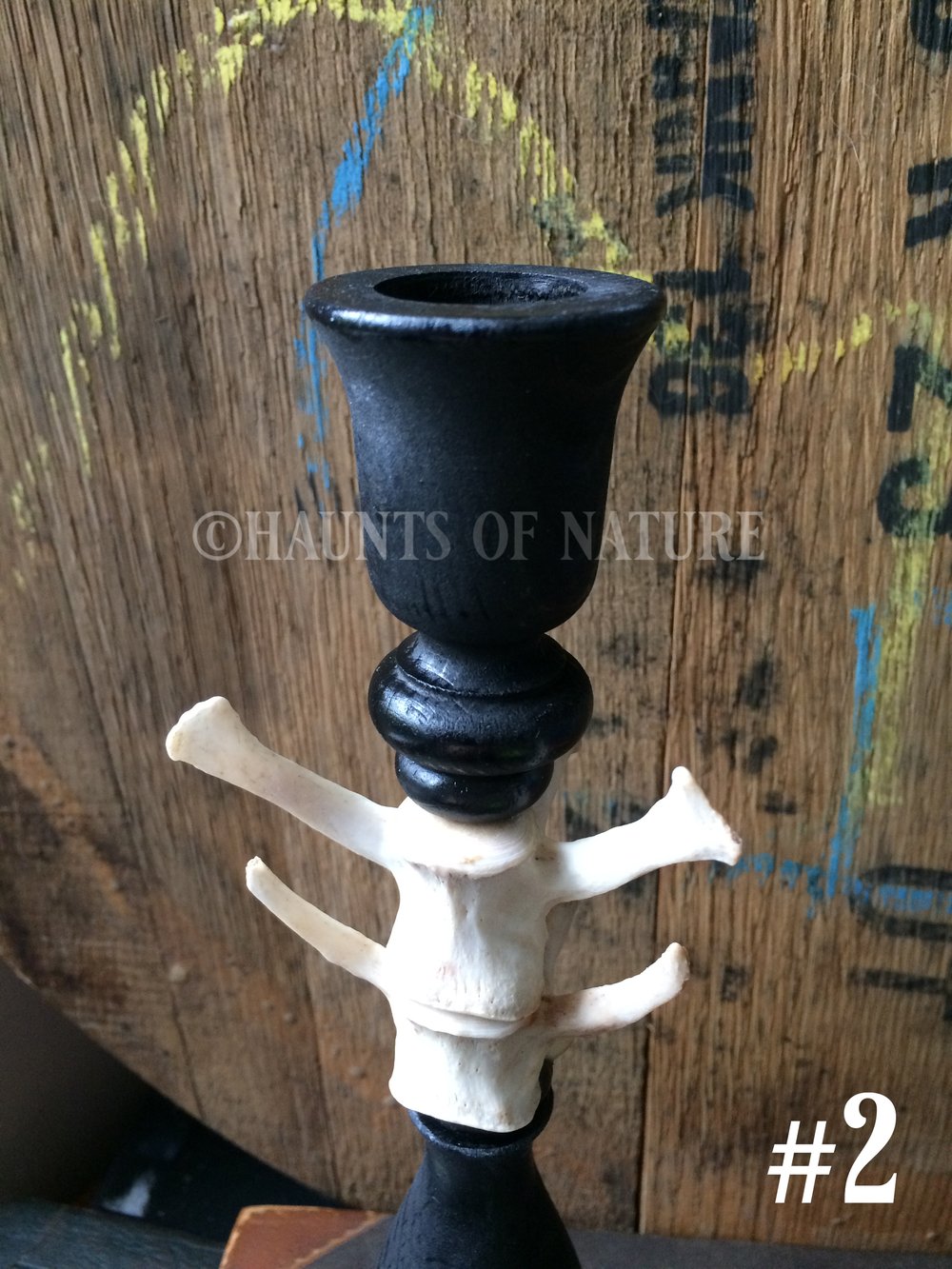 Vertebrae Candlestick Holders