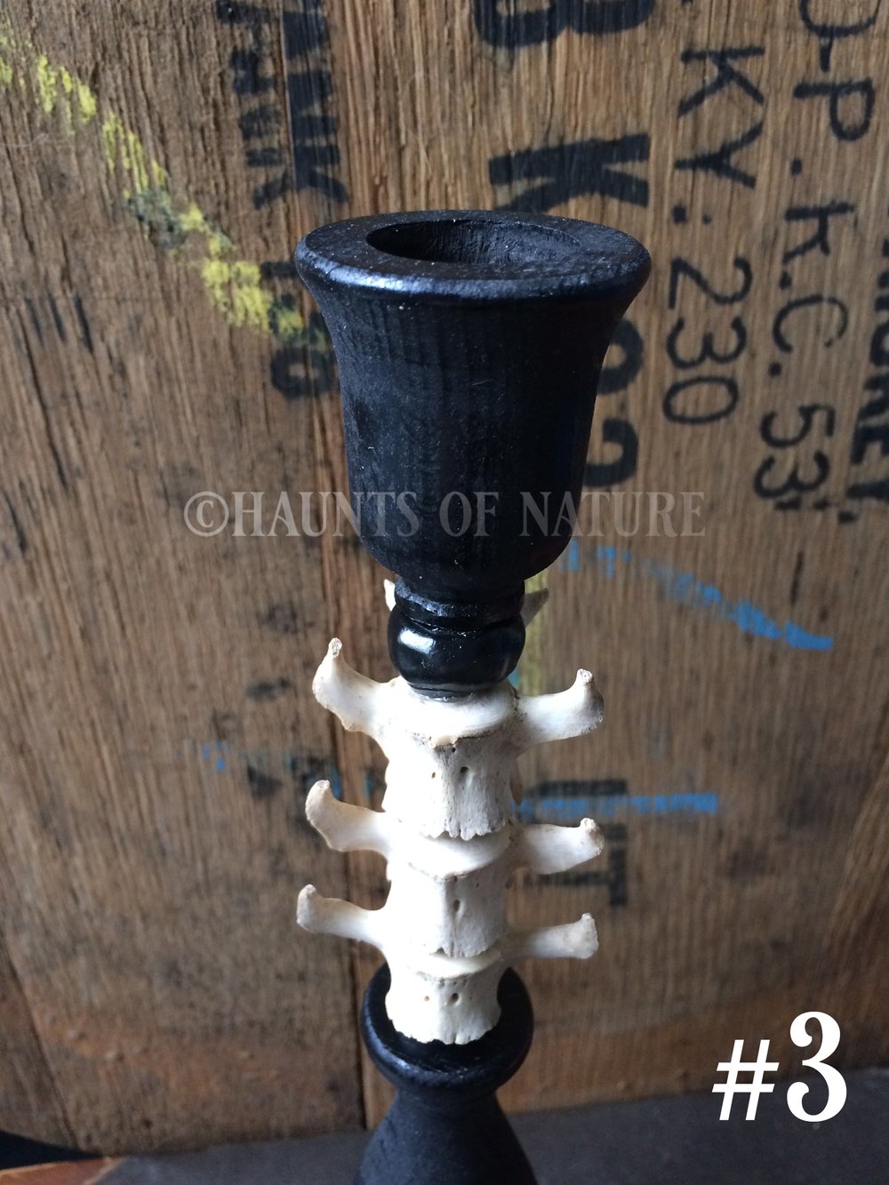 Vertebrae Candlestick Holders