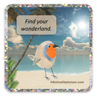 Bird: Find Your Wonderland