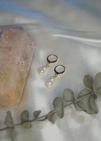 Image 1 of Dainty Freshwater Pearl Earrings / Gold