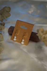 Image 2 of Dainty Freshwater Pearl Earrings / Gold