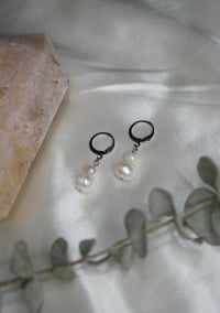 Image 1 of Dainty Freshwater Pearl Earrings / Stainless Steel