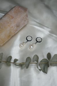 Image 2 of Dainty Freshwater Pearl Earrings / Stainless Steel