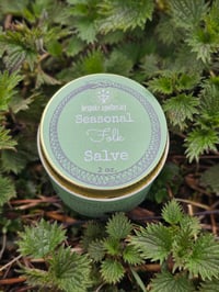 Image of ☆NEW☆ single batch Seasonal ✨️Folk✨️ Salve