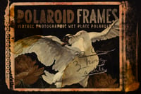 Image 1 of Polaroid Frames