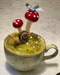 Mushrooms & Friends