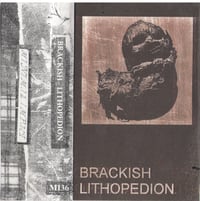 Image 1 of Brackish - Lithopedion CS (Minimal Impact)