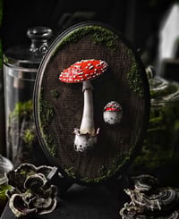 Image 2 of Mushroom Plaque V