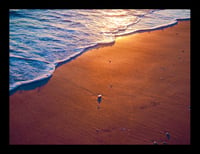 Framed Seashells at Sunset