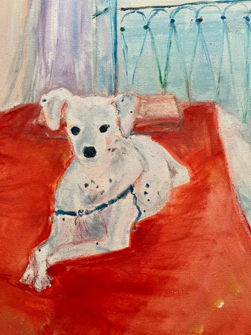 Image of Il Cane (Elvis in Amalfi)