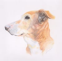 Customized PET PORTRAIT 
