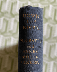Image 8 of Down the River Agnes Miller parker 